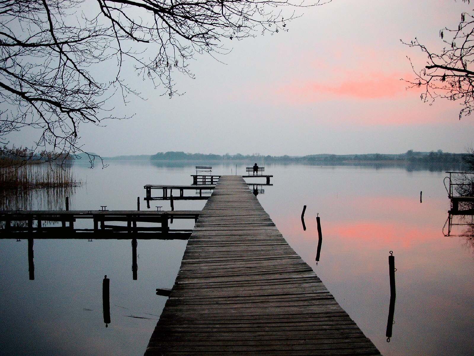 Ruhiges Ufer des Krakower Sees bei Serrahn