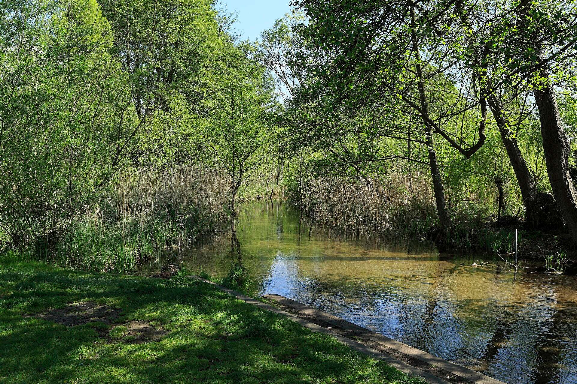Paddel- und Boots-Revier in der mecklenburgischen Seenlandschaft